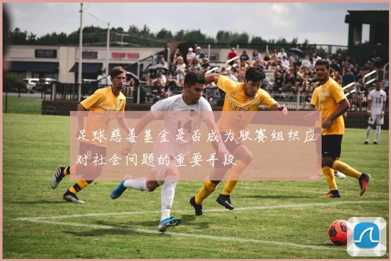足球慈善基金是否成为联赛组织应对社会问题的重要手段